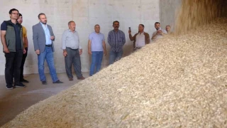 Mardin'de yapılan yılın ilk arpa hasadı yüzleri güldürdü