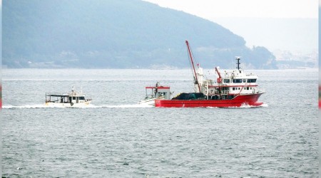 Marmara Denizi ölüyor