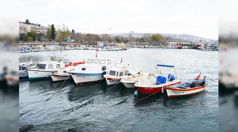 Marmara�da ula��ma lodos engeli