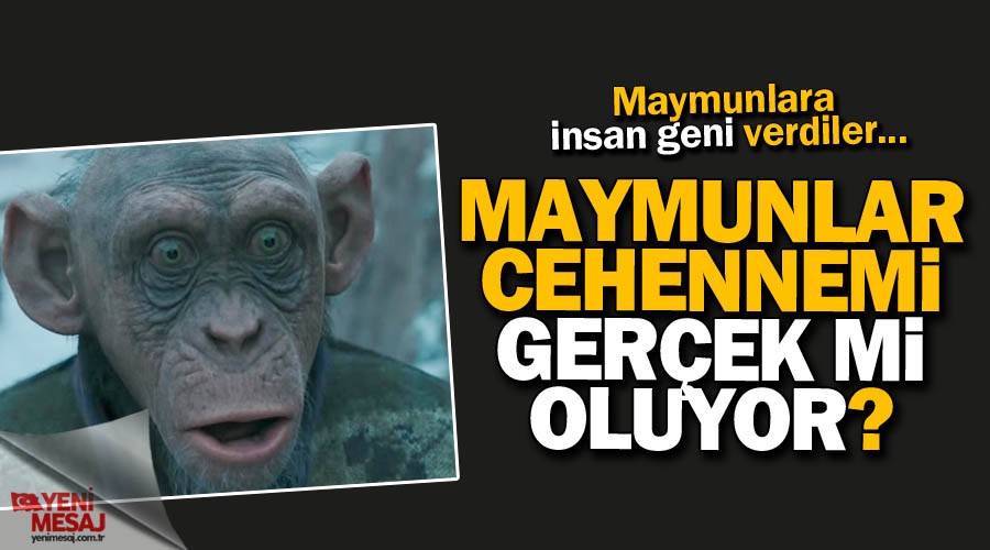 Maymunlar gezegeni gerçek mi oluyor?
