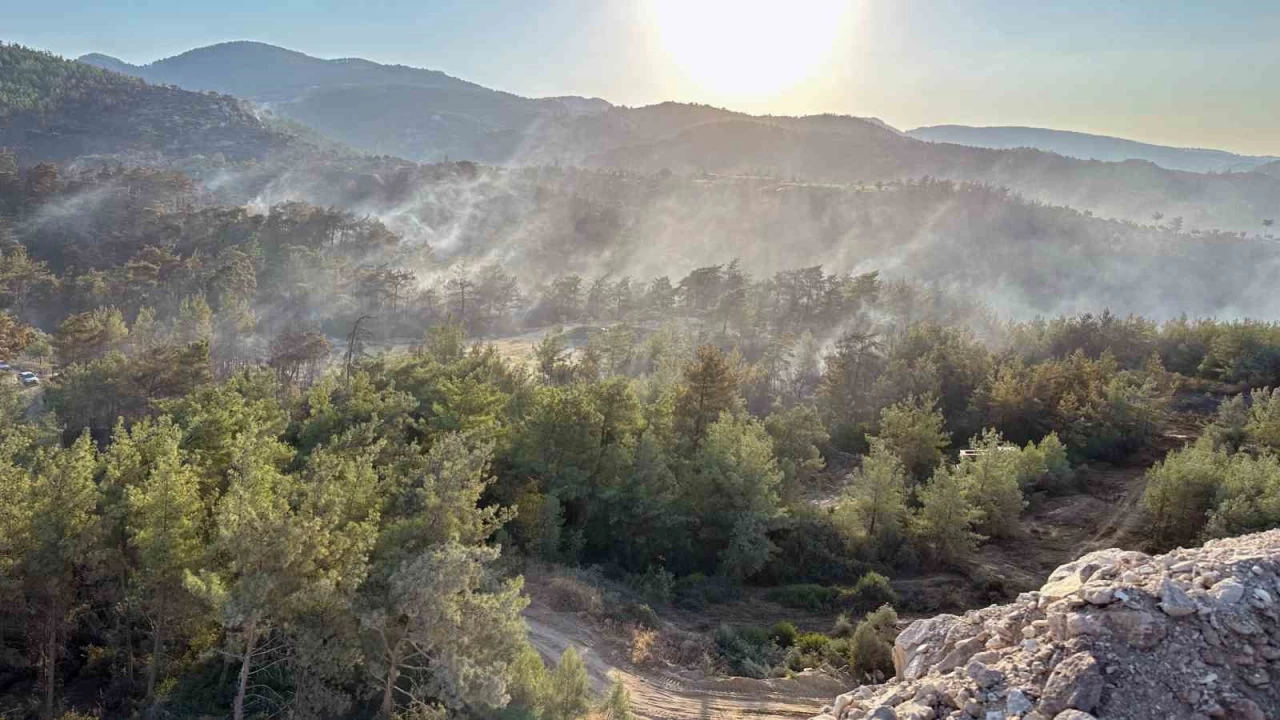 Milas'ta havadan karadan so�utma �al��mas� yap�l�yor