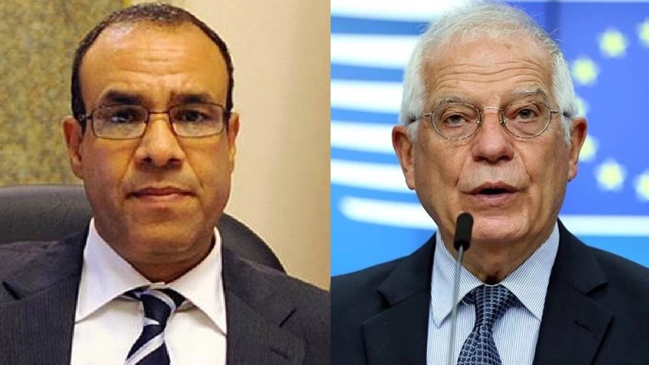 Mısır ve AB, Gazze'deki durumu görüştü