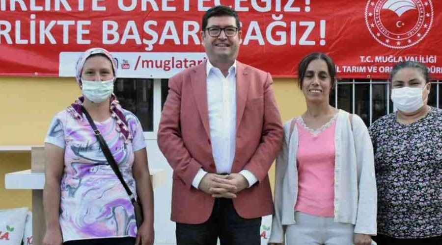 Muğlalı çiftçilere 39 ton yem bitki tohumu dağıtılacak