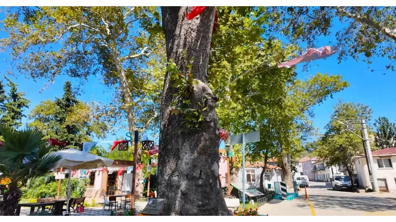 Naip Köyü: Trakya’nın renkli belleği
