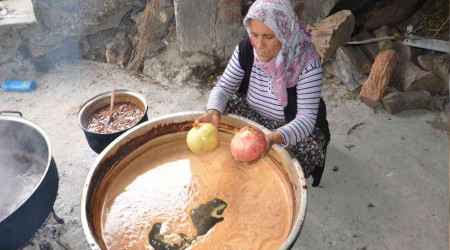 Nar ekisinin ifal yolculuu balad
