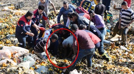 Narenciye posası altında can pazarı