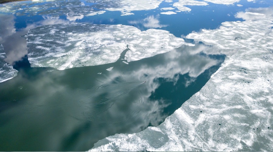 Nazik G�l� koruma alt�nda