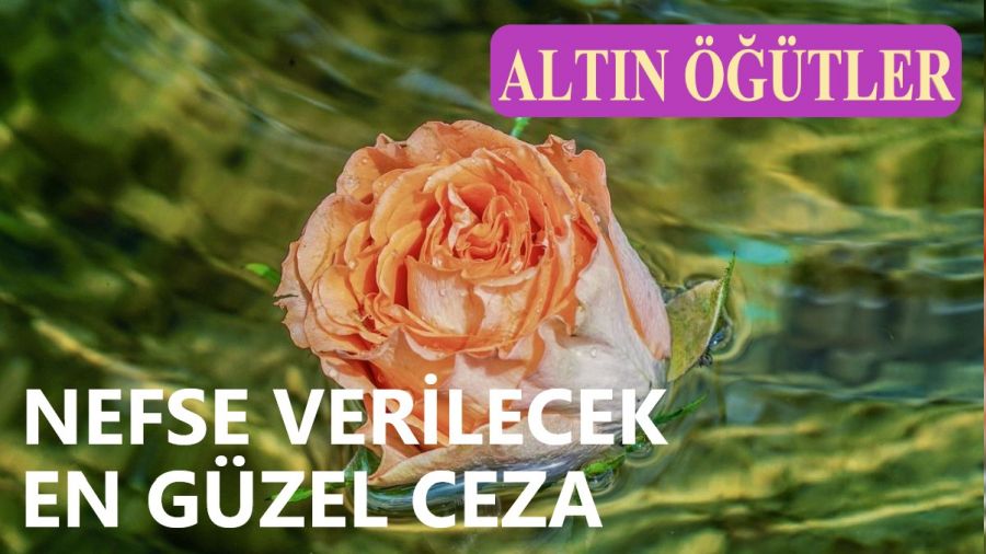 Nefse verilecek en g�zel ceza 