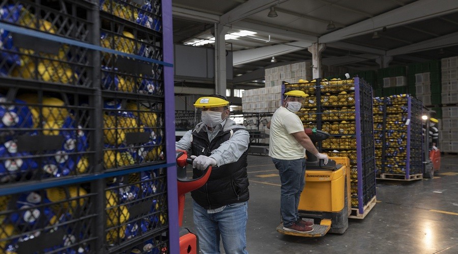 O belediye de Mersin’den limon alacak