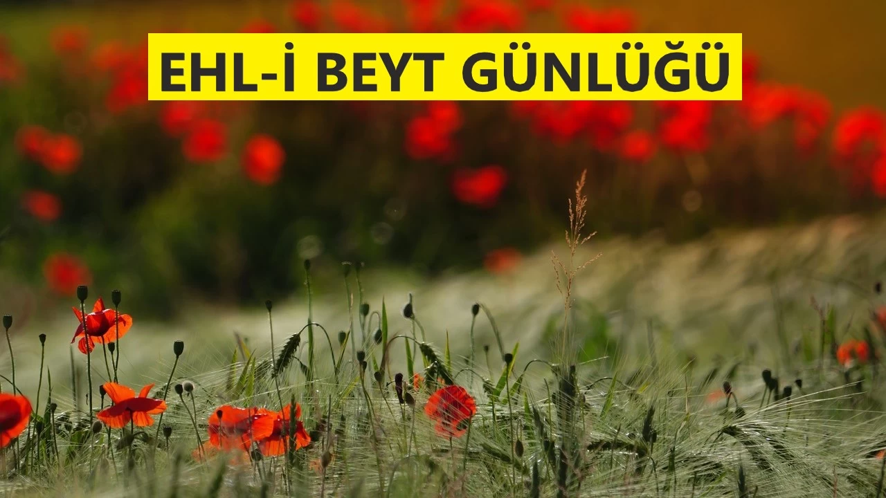 O, mü’minlerin emiriydi, kral değil