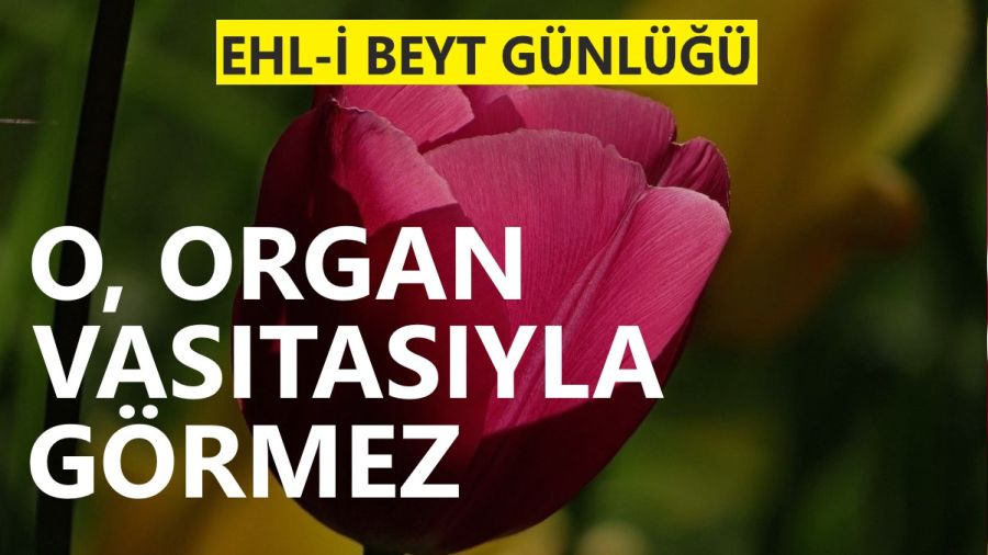 O, organ vas�tas�yla g�rmez