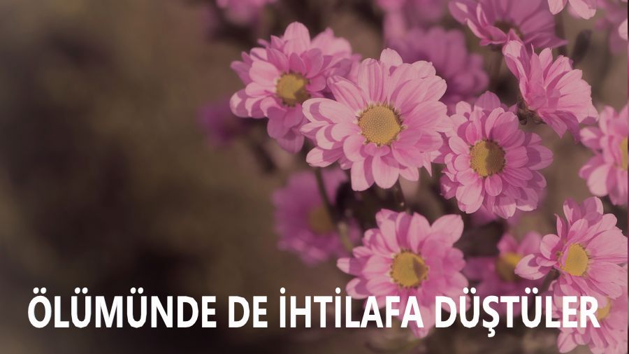 Ölümünde de ihtilafa düştüler