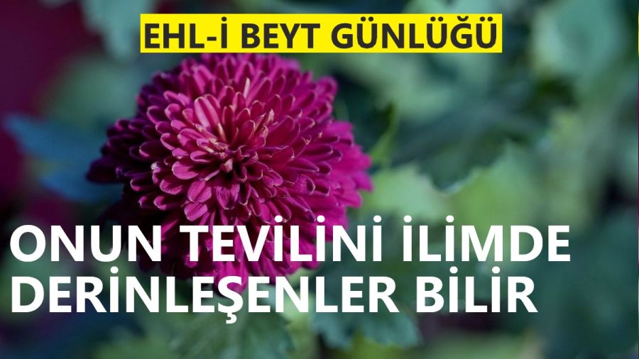 Onun tevilini ilimde derinleşenler bilir