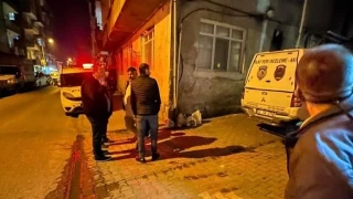 Ordu'da pheli lm