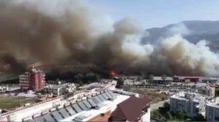 Orman yangını kente sıçradı