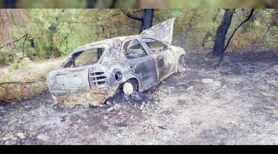 Ormana u�an otomobil k�l oldu