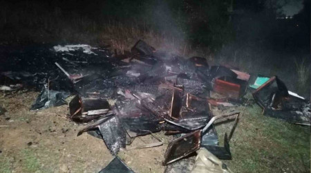 Ormanlık alandaki arı kovanları kül oldu