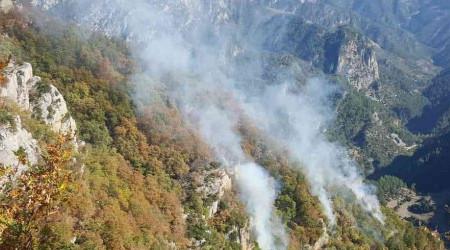 Osmaniye'de orman yangını
