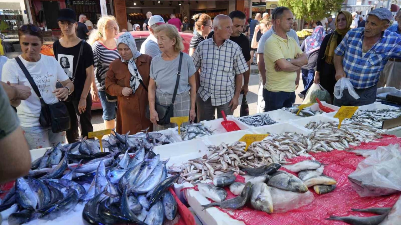 Palamut bolluğu herkesin yüzünü güldürüyor