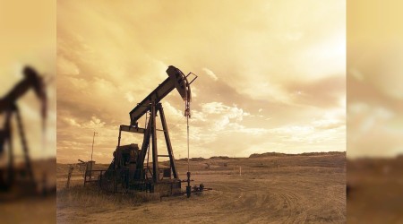 Petrol savann kaybedeni onlar