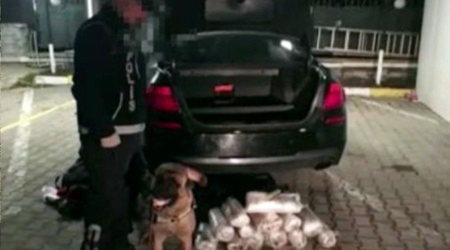 Piyasa değeri 1 milyon TL'nin üzerindeydi Sakarya'da ele geçirildi