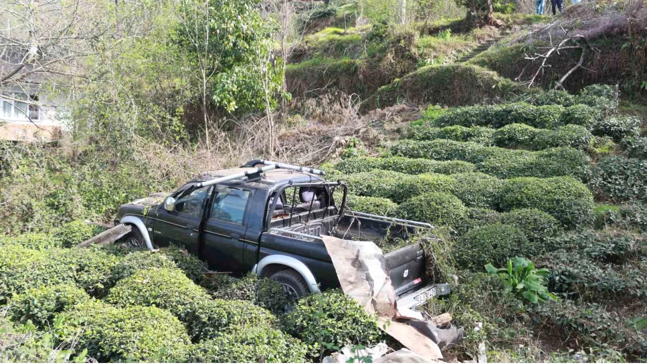 Rize'de kamyonet çay bahçesine uçtu