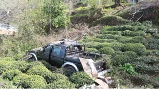 Rize'de kamyonet çay bahçesine uçtu