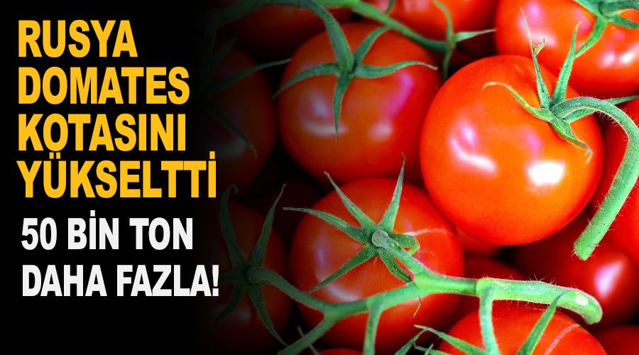 Rusya domates kotasını yükseltti