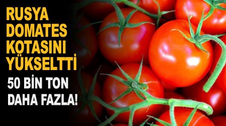 Rusya domates kotasını yükseltti