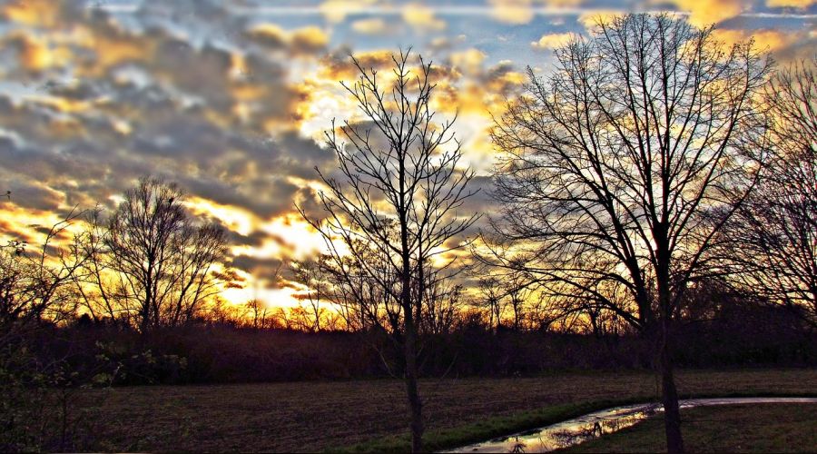 R�yada zuhur eden keramet 