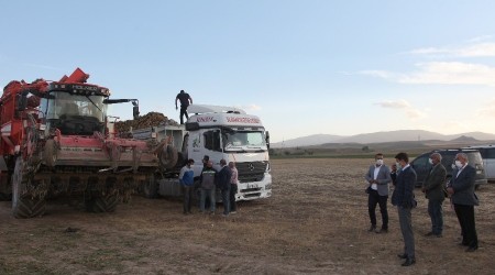 Sadece Bitlis'te 160 bin ton şeker pancarı hasadı