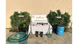 Sakarya'da uyuturucu operasyonu