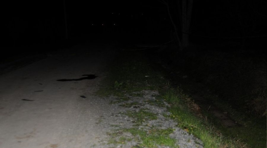 Sakarya'da yol kenarında başından vurulmuş erkek cesedi bulundu