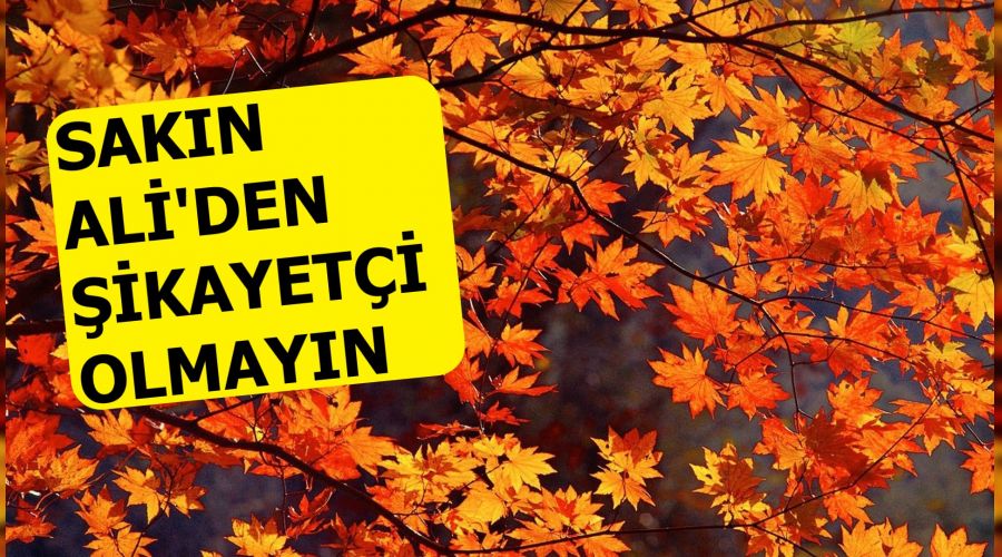 'Sakn Ali'den ikayeti olmayn!'