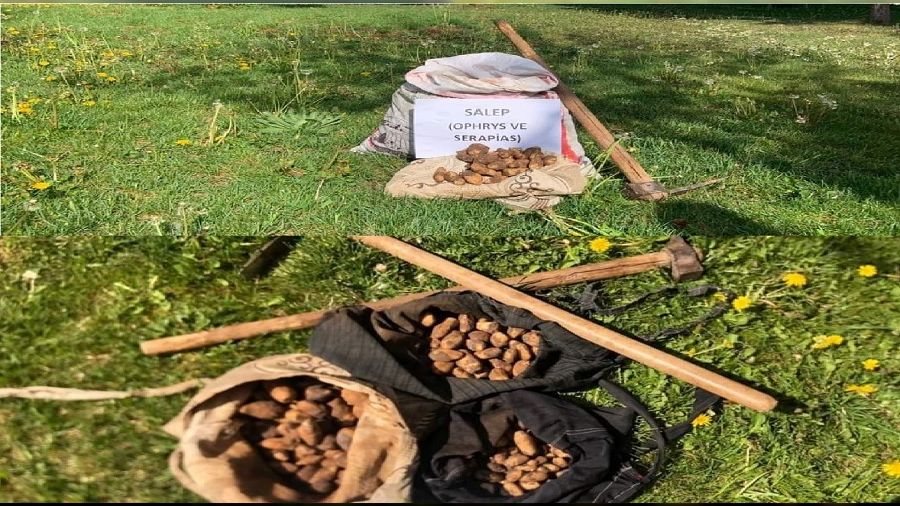 Salep so�an� toplayan 8 ki�iye 872 bin lira ceza