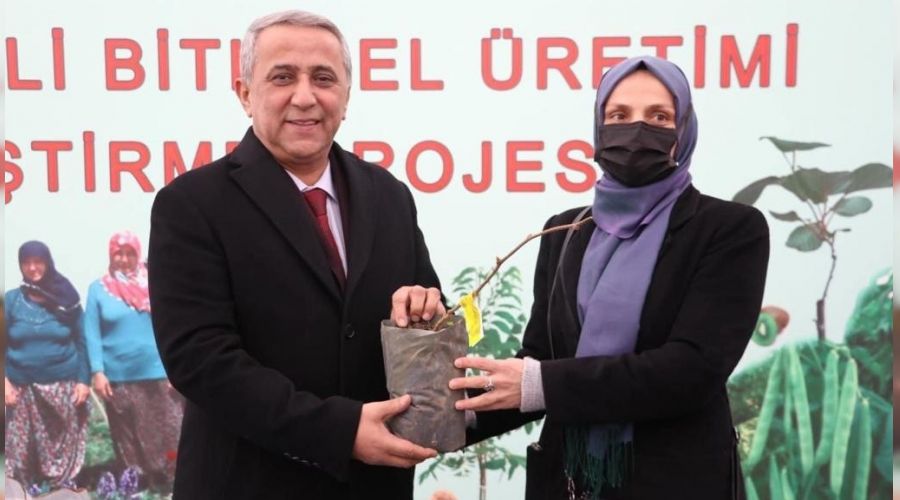 Samsun'da 'kivi'de hedef 1. sıraya yerleşmek