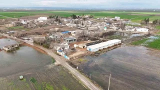 �anl�urfa'da �iddetli ya���lar tarlalar� g�le �evirdi