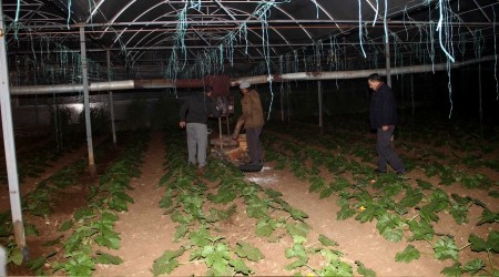Sera üreticisinin sobalı don nöbeti