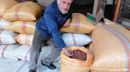 Serbest piyasada fındık fiyatı yükselişe geçti