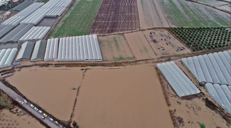 Serik'te bin 335 dekar tarım alanı zarar gördü