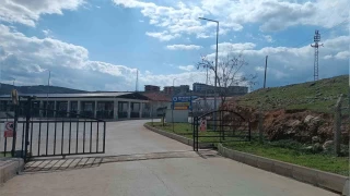 Siirt'te şap vakası yüzünden hayvan kesimi durduruldu