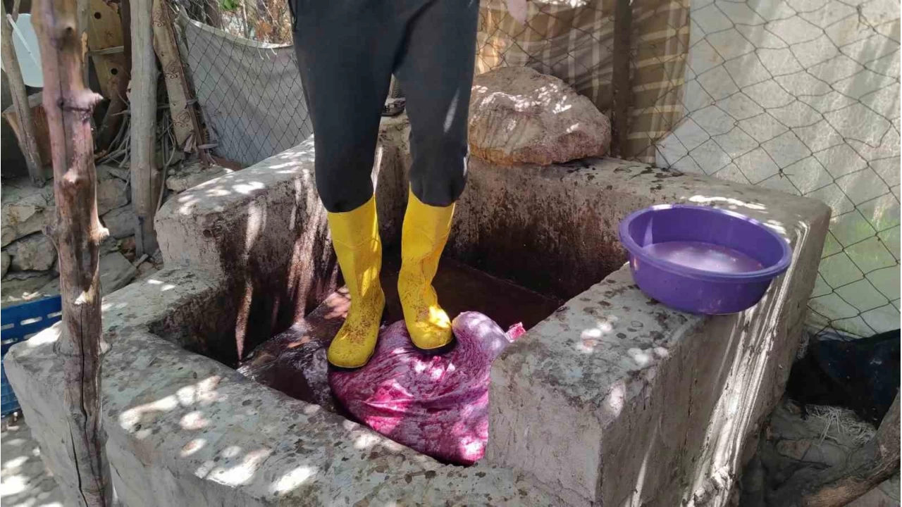 Siirt'te sinceri üzümünden pekmez yapımına başlandı