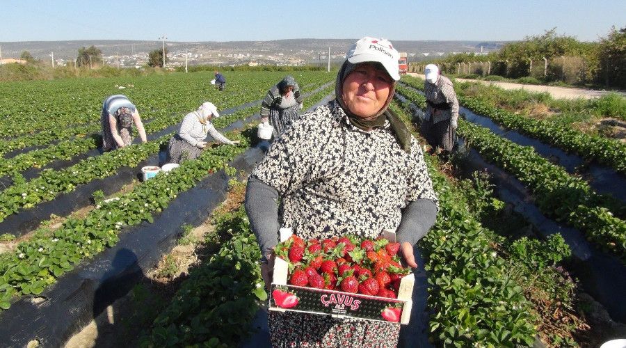 Silifke'de akta ilek hasad balad