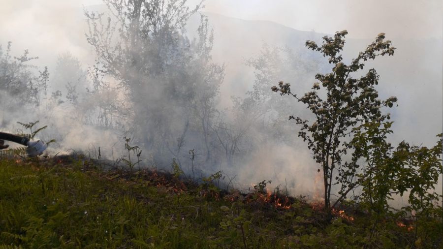 Sinop'ta orman yangını