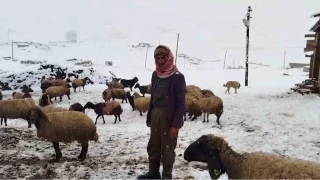 Şırnak'ta nisanda lapa lapa kar yağdı