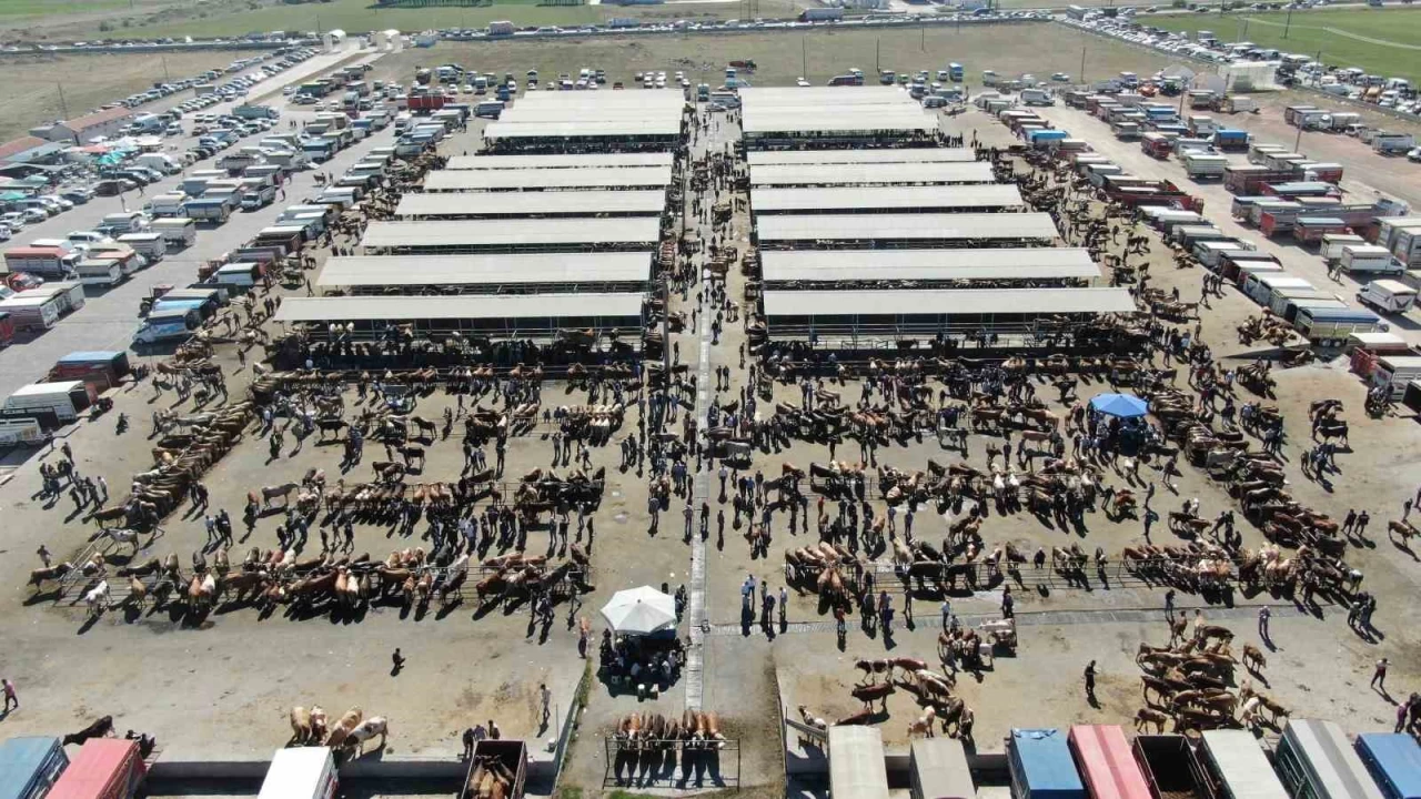 Sivas'ta hayvan pazarları kapatıldı