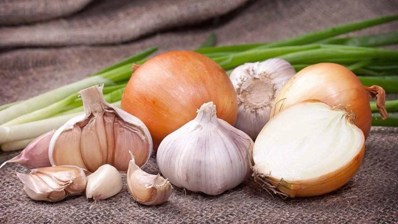 Soğan ve sarımsak kabukları atılmayacak kadar kıymetli