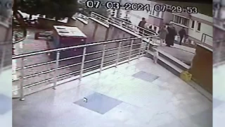 Sokak kedilerine çarpan sürücülere 14 bin 432 lira ceza