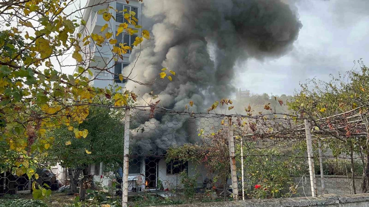 minenin bacasndan kan kvlcm evi yakt