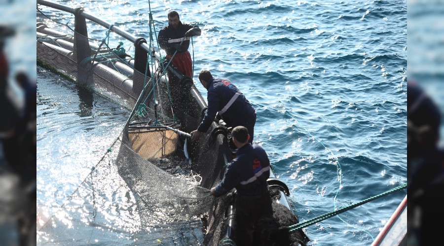 Su �r�nleri Kanunu dar geliyor